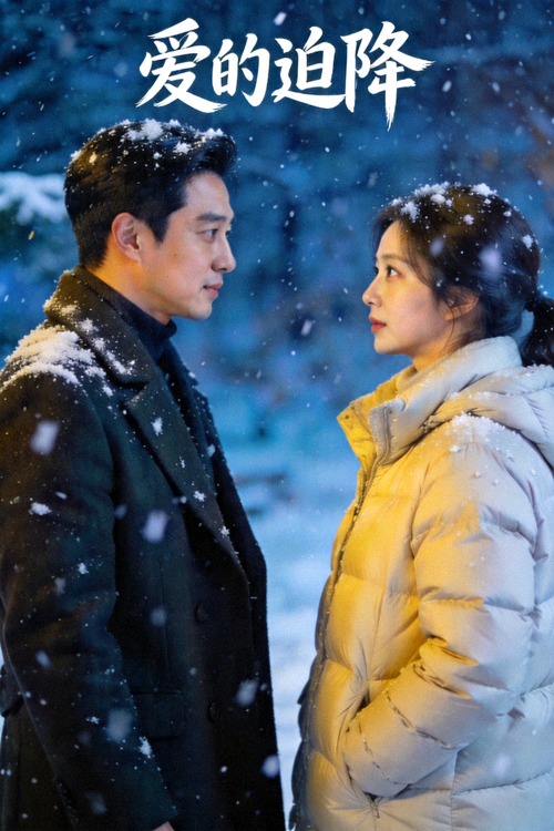 浪漫韩剧《爱的迫降》男女主角雪中相遇剧照